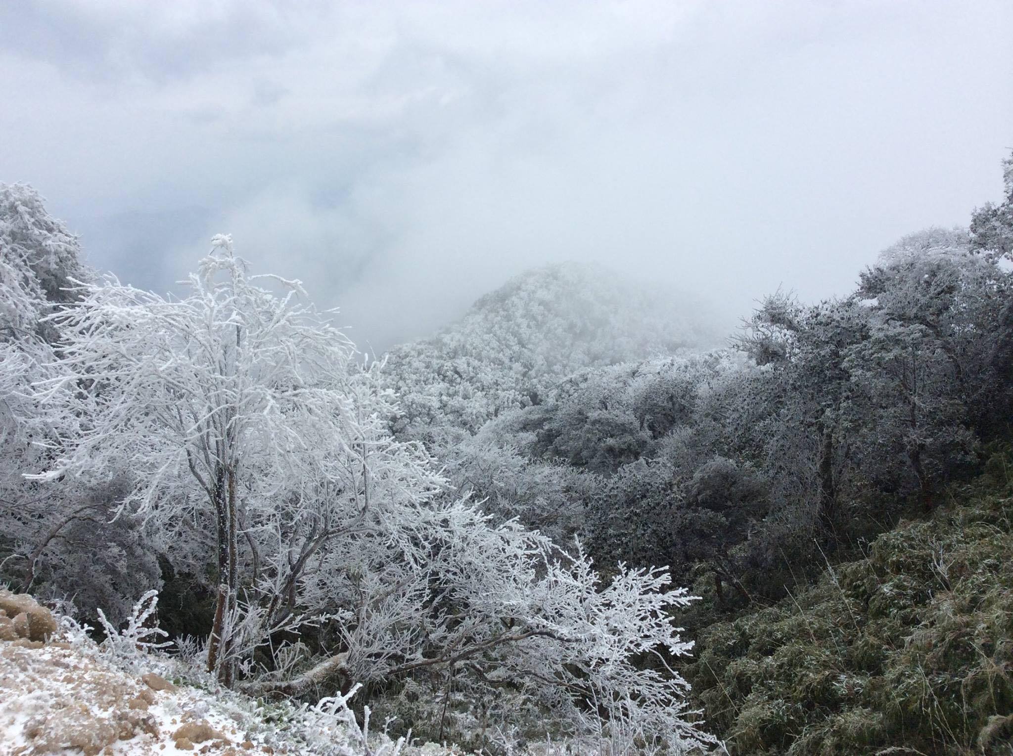 Băng tuyết trên đỉnh Phja Oắc, huyện Nguyên Bình