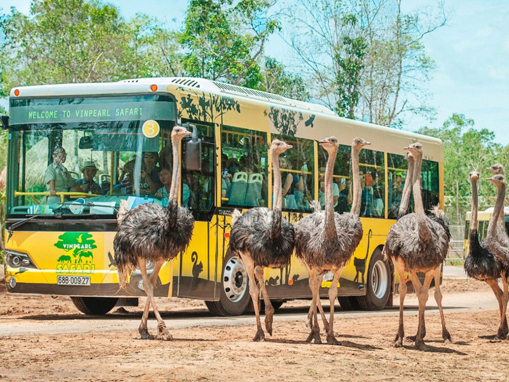 Vườn Thú Safari Phú Quốc: Khu vườn thú lớn thứ 2 Đông Nam Á