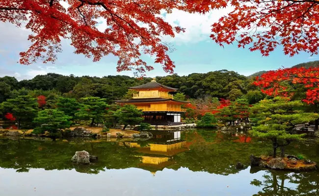 chùa vàng Kinkakuji 