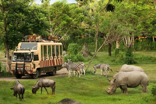ngắm vườn thú Safari World